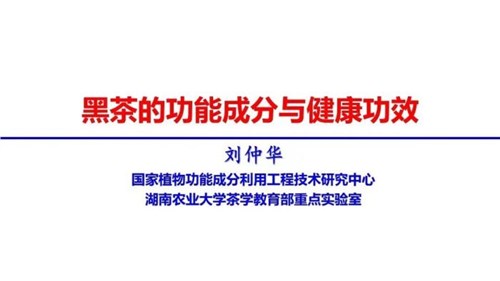 茶的功能成分與健康功效 | 茶、飲茶與健康