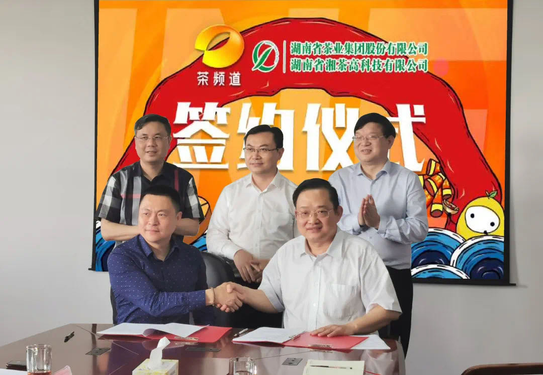 院士見證，輕輕茶發(fā)力品牌建設，與茶頻道達成深度合作